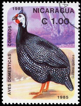 rooster stamp Nicaragua – Best Places In The World To Retire – International Living